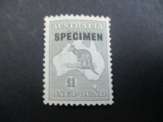 Kangaroo Stamps: £1 Grey Specimen 3rd Watermark - Rare (e83)