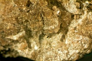 Newberyite: Rare phosphate: Micromount from bat caves,  Victoria,  Australia 2