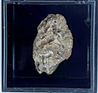 Newberyite: Rare phosphate: Micromount from bat caves,  Victoria,  Australia 3