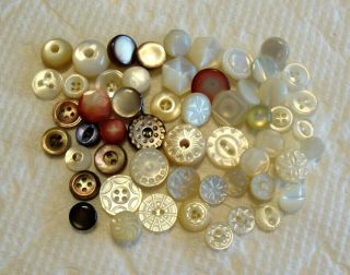 55 Diminutive Antique Vintage Mother Of Pearl Shell Buttons 3/8 " Or Less