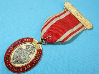 Antique Medical Hospital Medal Cripples Home & College Queen Alexandra