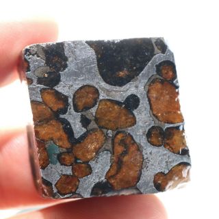 50g Slice Meteorites,  Rare Slices Of Kenyan Pallasite Olive Meteorite B490