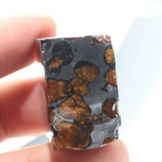50g Slice meteorites,  Rare slices of Kenyan Pallasite olive meteorite B490 2