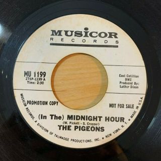 RARE The Pigeons (In The) Midnight Hour/Stick in My Corner Psych 45 WL Promo 3