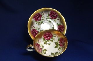 Vintage Paragon Tea Cup & Saucer Red Cabbage Roses On White & Gold Rare