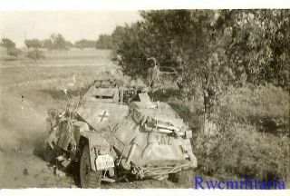 RARE KO ' d German Elite Camo SdKfz.  222 Armored Car (// - 145778) ; France 1944 2