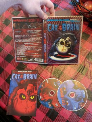 A Cat In The Brain Rare Dvd Deluxe Edition Lucio Fulci 