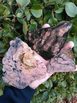 Three (3) 1940s Rare Idaho Rhodonite Rough Cut Slab Pink Black Contrast 14.  6oz