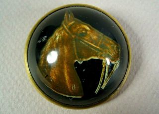 Antique Glass Dome & Brass Horse Bridle Rosette Button W/ Horse