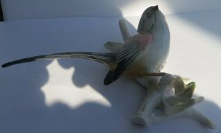 RARE KARL ENS VOLKSTEDT PORCELAIN PERCHING WAGTAIL BIRD WALL PLAQUE 2