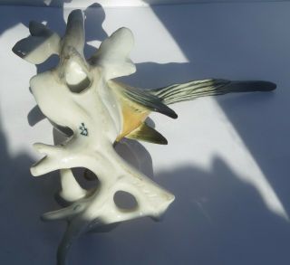 RARE KARL ENS VOLKSTEDT PORCELAIN PERCHING WAGTAIL BIRD WALL PLAQUE 3