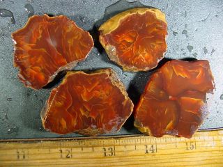 Very Rare Flame Brecciated Carnelian Agate Slices