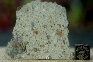 Nwa 8362 Hed Howardite Meteorite 7.  4 Gram (thin) Part Slice Of Rare Achondrite