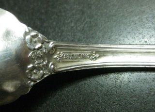 International Wild Rose Old,  Sterling Silver Citrus Spoon,  no monogram 3