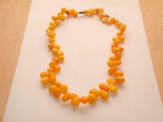 Rare Antique Egg Yolk Amber Bead Necklace 24 Inches Long 46g