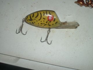 old fishing lures Early Pico Digger RARE Color Yellow Coachdog Texas Crankbait 2