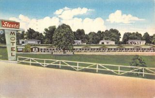 Harrison Arkansas Siesta Motel Linen Antique Postcard K18921