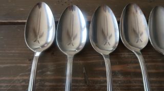 6 Vintage 1940 CAMELIA by International Silver Silverplate Table Serving Spoons 2