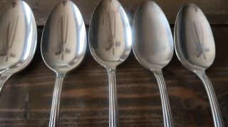 6 Vintage 1940 CAMELIA by International Silver Silverplate Table Serving Spoons 3