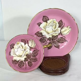 Pink Paragon W White Cabbage Rose Tea Cup & Saucer Rare