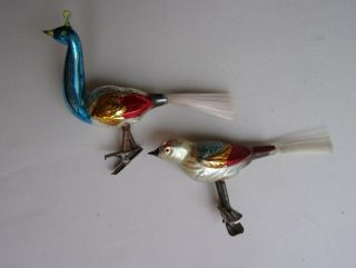 2 ANTIQUE German clip - on BLOWN GLASS BIRDS Christmas Ornaments 2