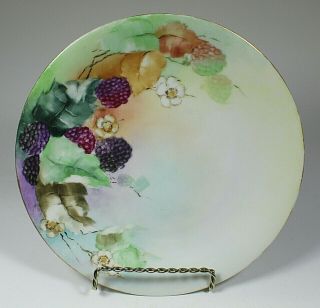 Antique D & Co.  Limoges France Hand Painted Berries Plate
