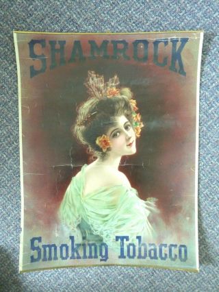 Rare Vintage Shamrock Smoking Tobacco Poster Early 1900 