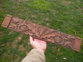Antique Architectural Salvage Carved Wood Panel Oak Leaf Thistle Black Forest Nr