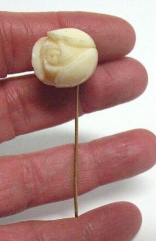 Antique Huge Carved Coral Stick Pin Tulip Rosebud 8.  1 Grams