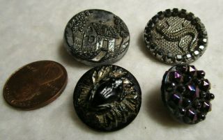 Antique Buttons Black Glass,  Lustre,  Lizard,  Frog,  Picture,  Purple 29