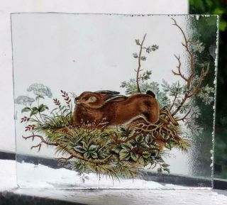 Stained Glass Rabbit - Kiln Fired Transfer / Painted Fragment Pane