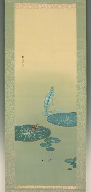 掛軸1967 Japanese Hanging Scroll " Frog On Water Lily Leaves " @e694