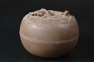 U5157: Chinese Brown Pottery Squirrel Grape Sculpture Tea Ceremony Case