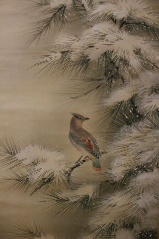 K04f6 Snow - Covered Pine Tree & Cute Bird Japanese Hanging Scroll