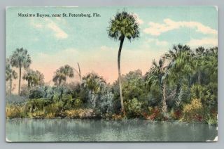 Maximo Bayou St.  Petersburg Florida Rare Antique Postcard 1910s