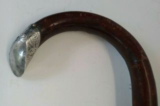Antique Hazel Walking Stick With Sterling Silver London 1899 John Millward Banks