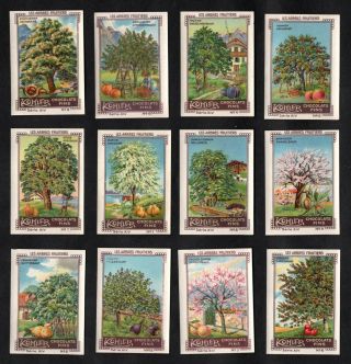 Fruit Trees Kohler Rare 1920 Stamp Card Set Orchard Apple Pear Plum Cherry Fig