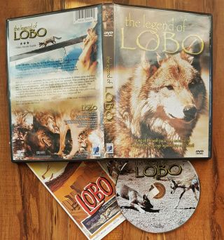 /927\ The Legend Of Lobo Dvd From Anchor Bay (disney) Rare & Oop With Insert