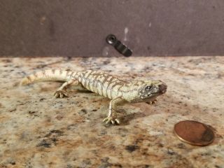 Pv Playvisions Gila Monster Reptile Figure Rare