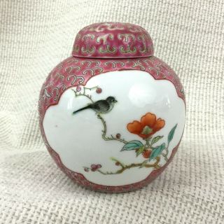 Chinese Porcelain Ginger Jar Lidded Pot Famille Rose Hand Painted Blackbird