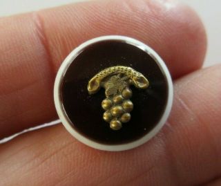 Wonderful Antique Vtg Victorian Glass Button W/ Gold Gilt Metal Grapes 5/8 " (i)
