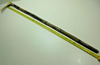 Antique Old Vintage Swaine Piccadilly Horse Riding Fox Hunting Bamboo Cane Whip