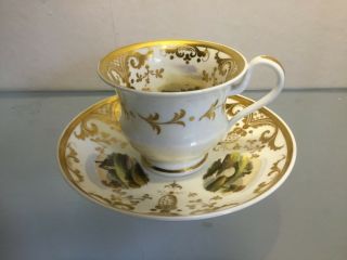 Antique 19th Century 2368 Landscapes Cup & Saucer Gilding Gift A