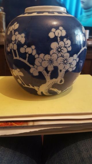 Antique 19th Century Chinese Porcelain Ginger Jar With Prunus Decoration
