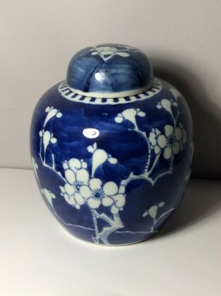 Antique 19th Chinese Blue & White Prunus Ginger Jars Pot Kangxi Marks