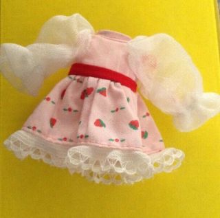 Vintage Strawberry Shortcake Berrykin Doll Dress