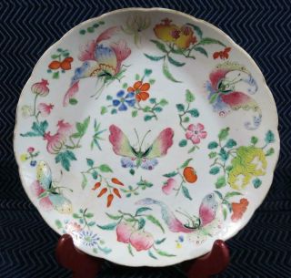 Antique Chinese Butterfly And Floral Painted Plate 9.  25 Inches