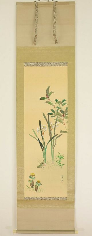 掛軸1967 Japanese Hanging Scroll " Flower And Bush Warbler " @n544