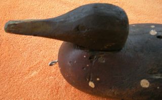 Early ANTIQUE DUCK DECOY Mallard Vintage Wood SOLID Oak HAND CARVED Painted 3