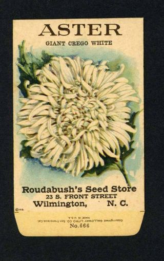 Antique 1918 Aster Crego White Seed Packet / Roudabush Seed Store,  N.  C.  R - 005